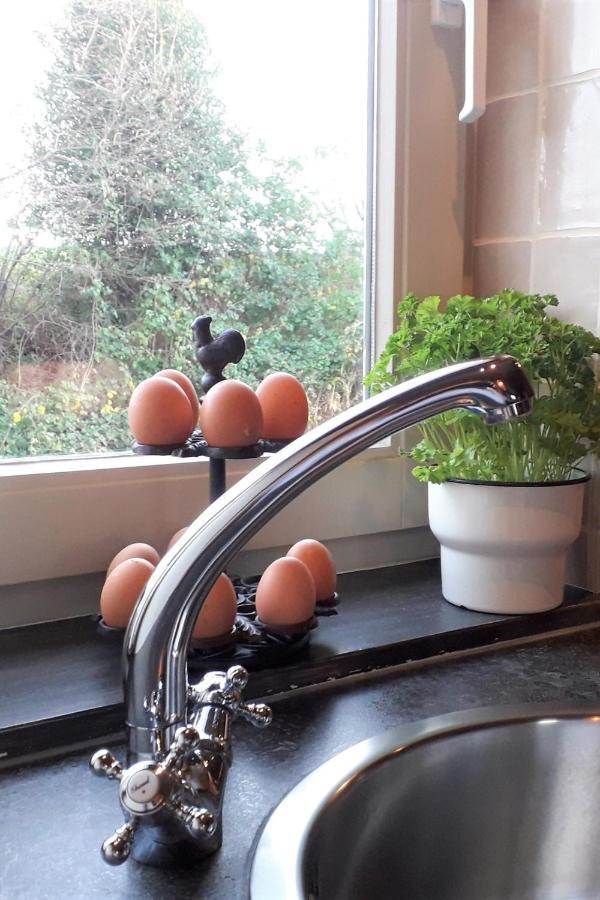 Hoeve Schevey Mechelen Kültér fotó